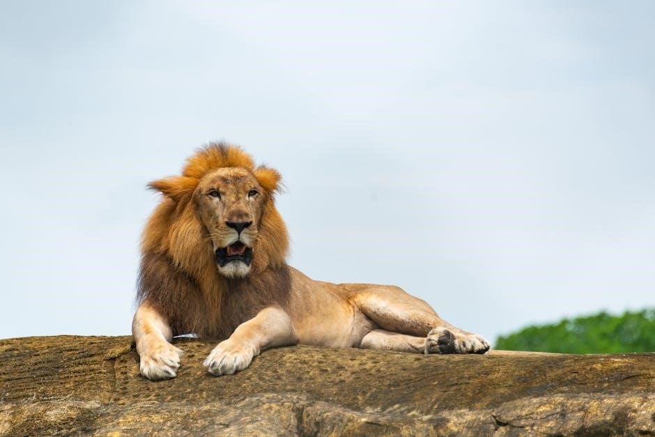 the alpha king’s human mate clark pdf