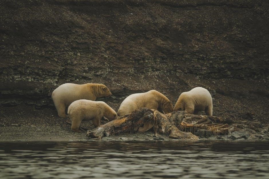 going on a bear hunt pdf