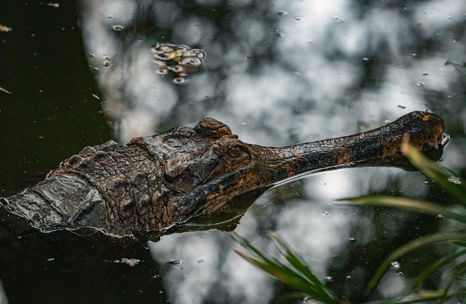 the 369 journal pdf free download