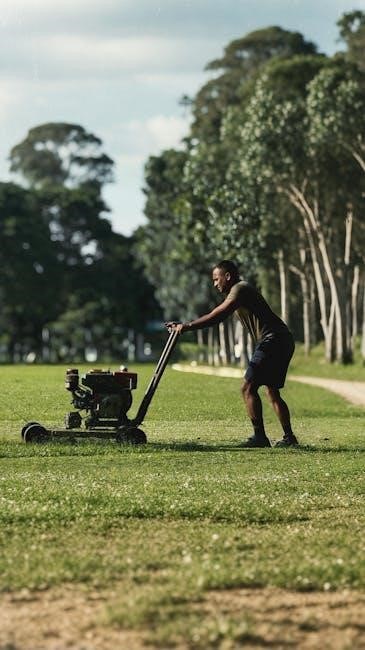 troy bilt lawn mower instruction manual
